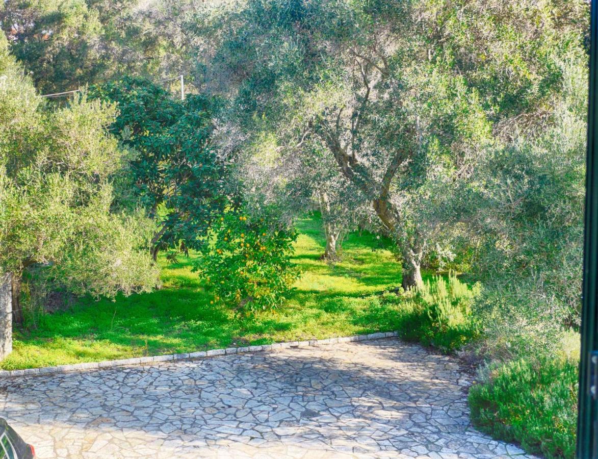 Villa Afionas - 3 Minutes From The Beach With Heated Eco-Pool And Sunset View Екстериор снимка